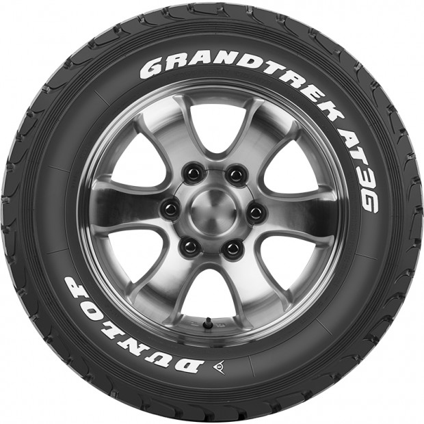Grandtrek AT3G